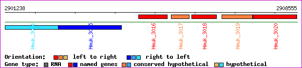 gene map