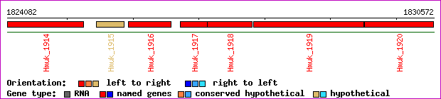 gene map