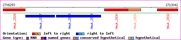 gene map