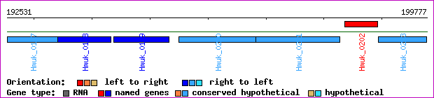 gene map