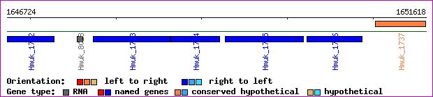gene map