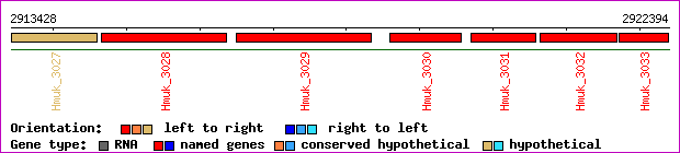 gene map