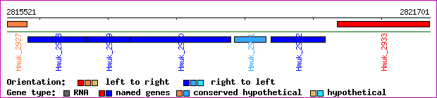 gene map