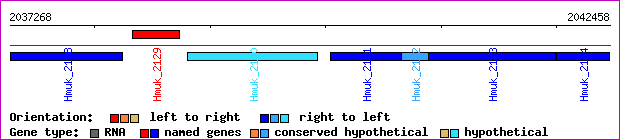 gene map