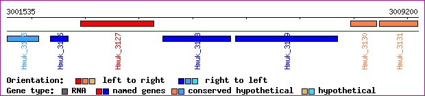 gene map