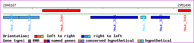 gene map