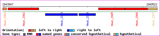 gene map