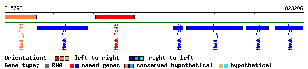 gene map