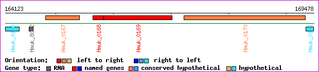 gene map
