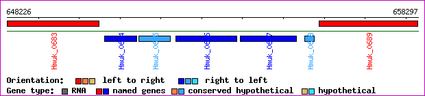 gene map