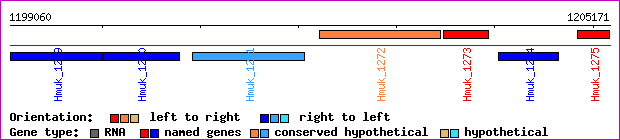 gene map