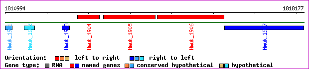 gene map