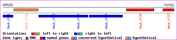 gene map