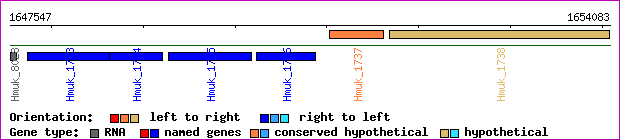 gene map