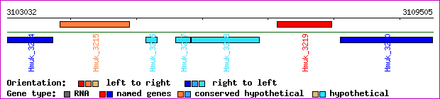 gene map