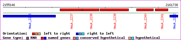 gene map