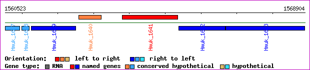 gene map