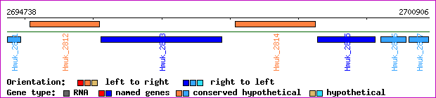 gene map