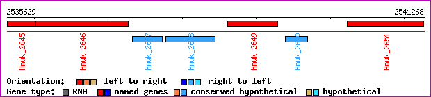 gene map