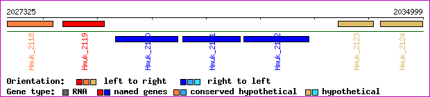 gene map