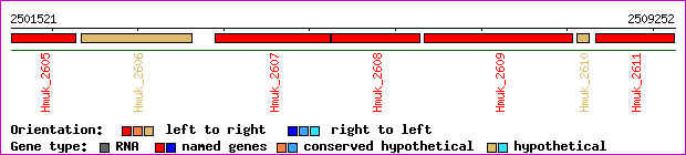 gene map
