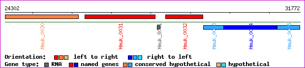 gene map