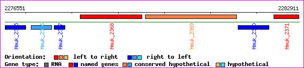 gene map
