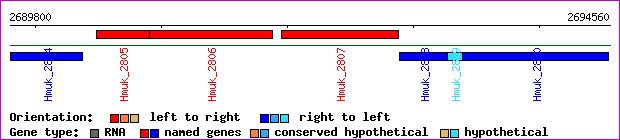 gene map