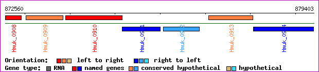gene map