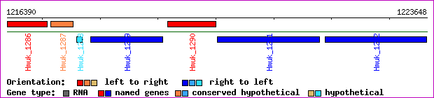 gene map