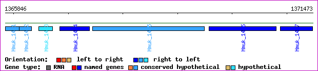 gene map