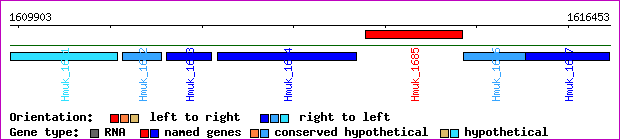 gene map