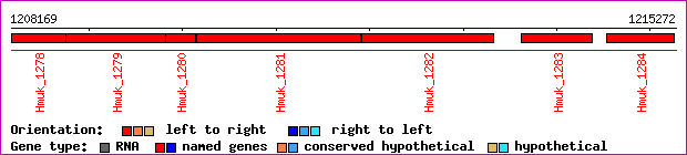 gene map
