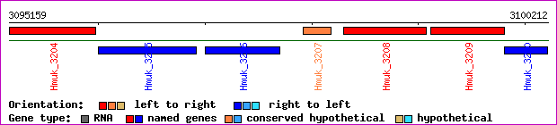 gene map