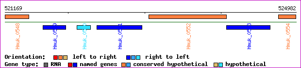 gene map