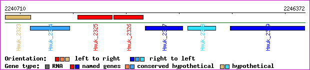 gene map