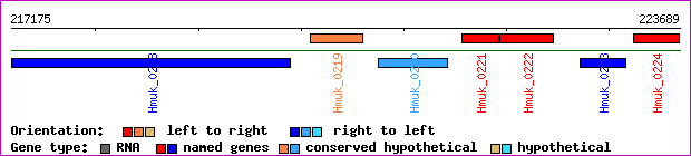 gene map
