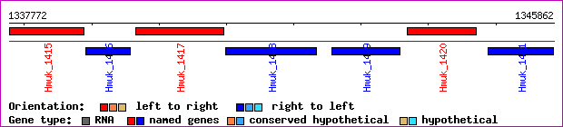 gene map