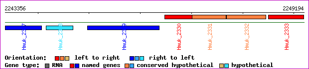 gene map
