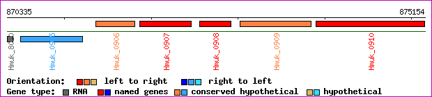 gene map