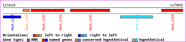 gene map