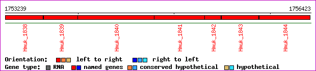 gene map