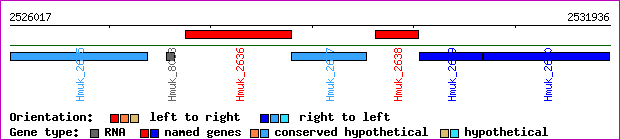 gene map