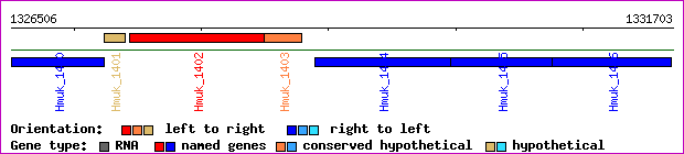 gene map