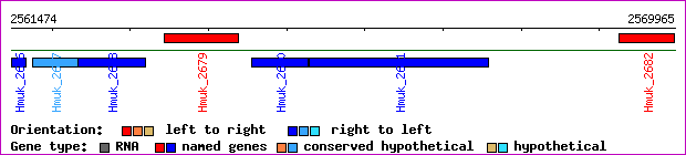 gene map