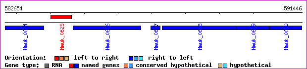 gene map