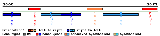 gene map