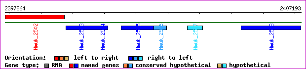 gene map