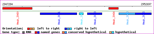 gene map