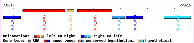 gene map